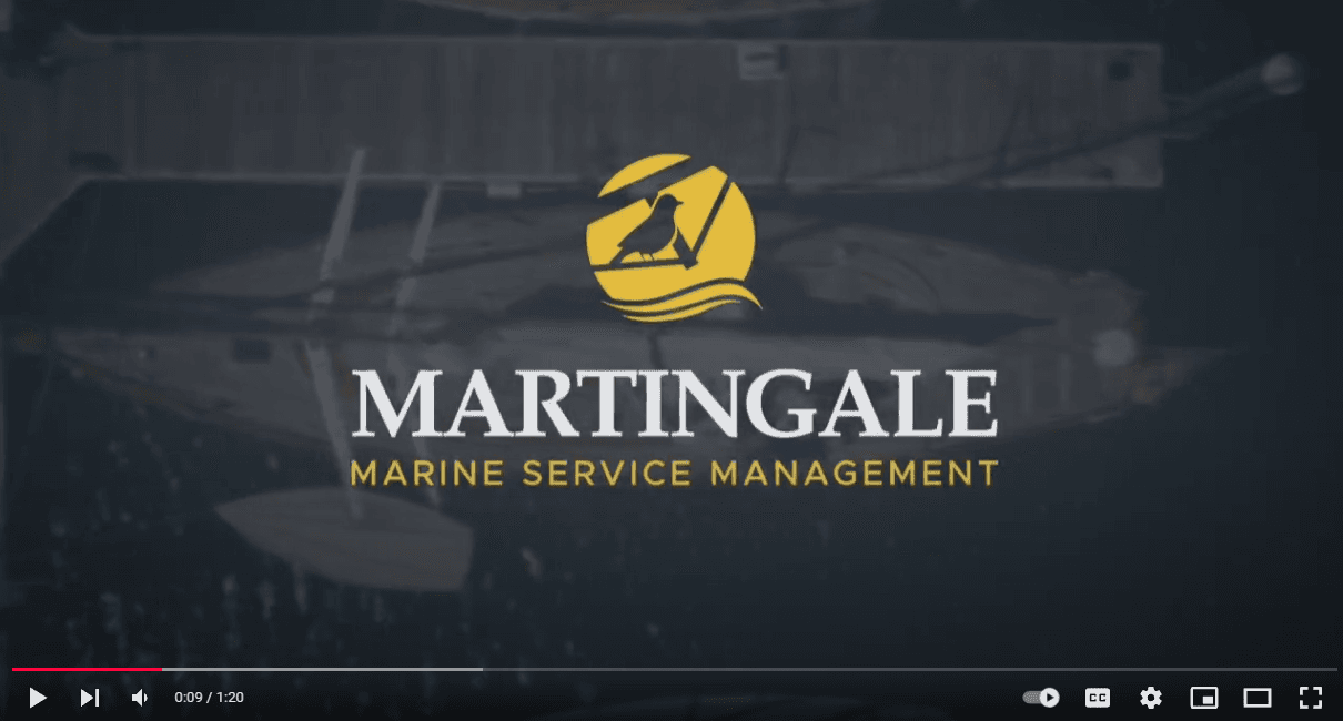 Introducing Martingale